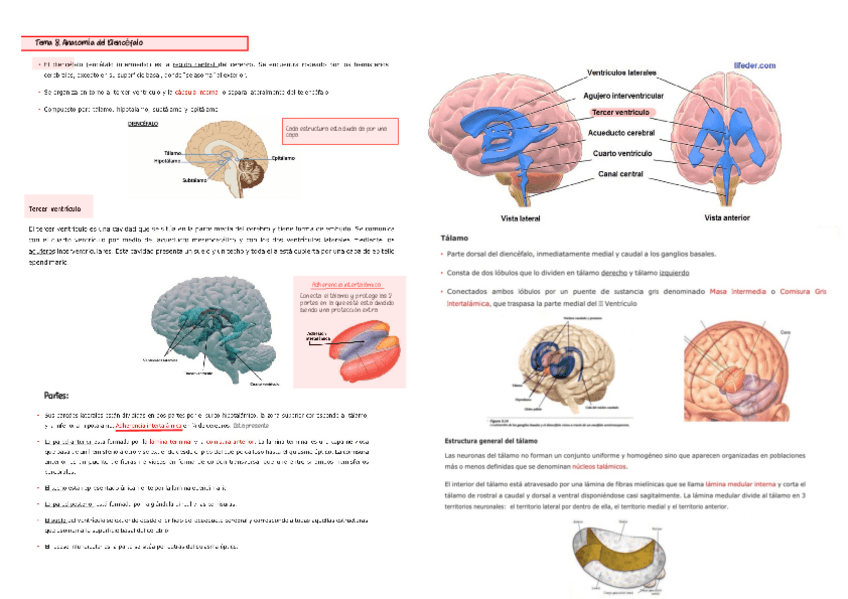 Miniatura del documento Tema-8.pdf