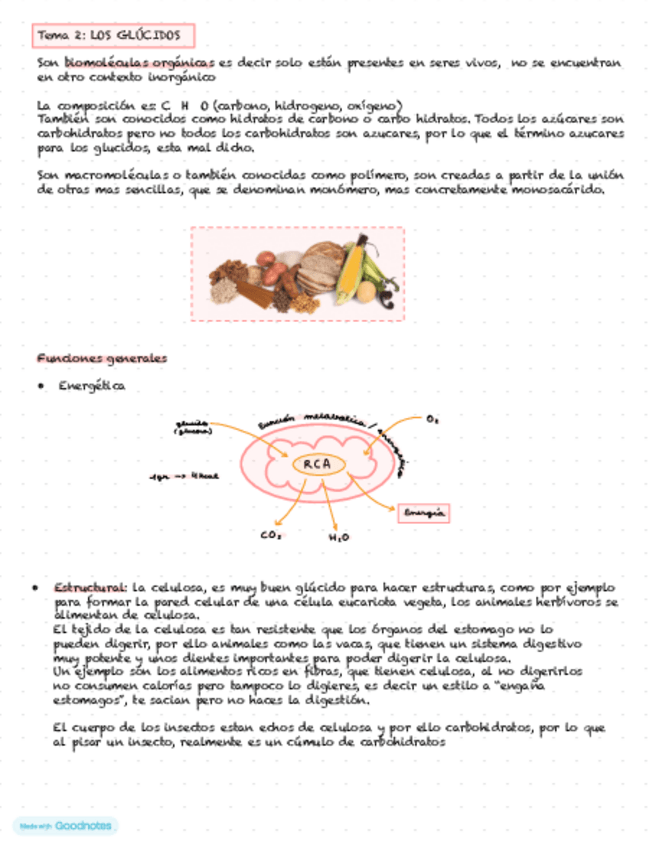 Miniatura del documento tema-2-los-glucidos.pdf