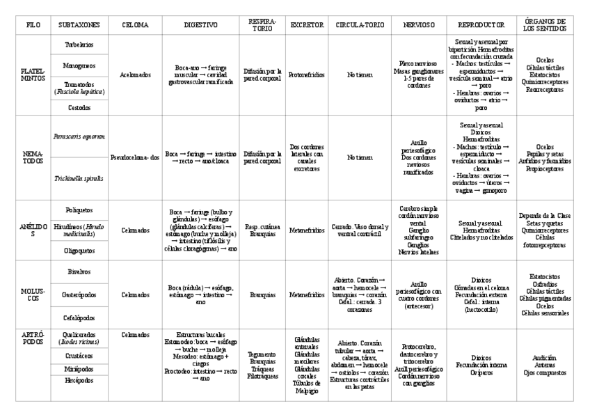 Miniatura del documento Esquema-resumen Invertebrados.pdf