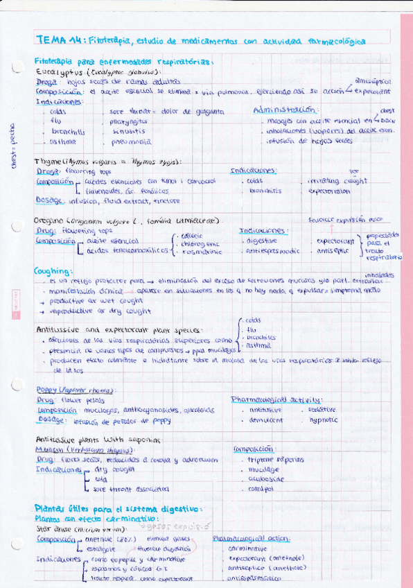 Miniatura del documento TEMA-14-Fitoterapia-estudio-de-medicamentos-con-actividad-farmacologica.pdf