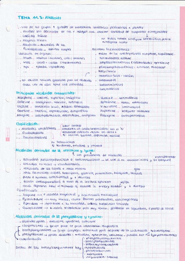 Miniatura del documento TEMA-11.3-Alkaloids.pdf