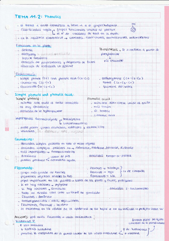 Miniatura del documento TEMA-11.2-Phenolics.pdf