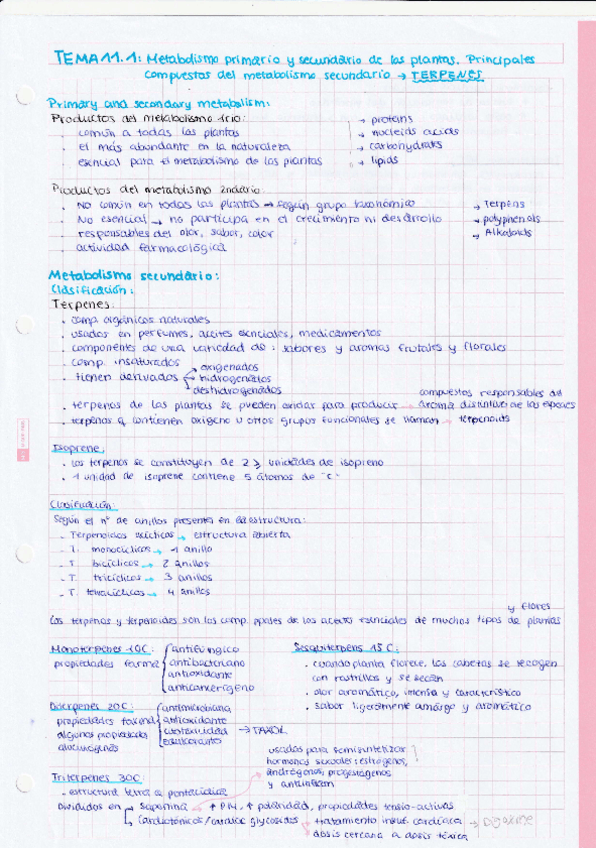 Miniatura del documento TEMA-11.1-Metabolismo-primario-y-secundario-de-las-plantas.-Principales-compuestos-del-metabolismo-secundario-TERPENES.pdf