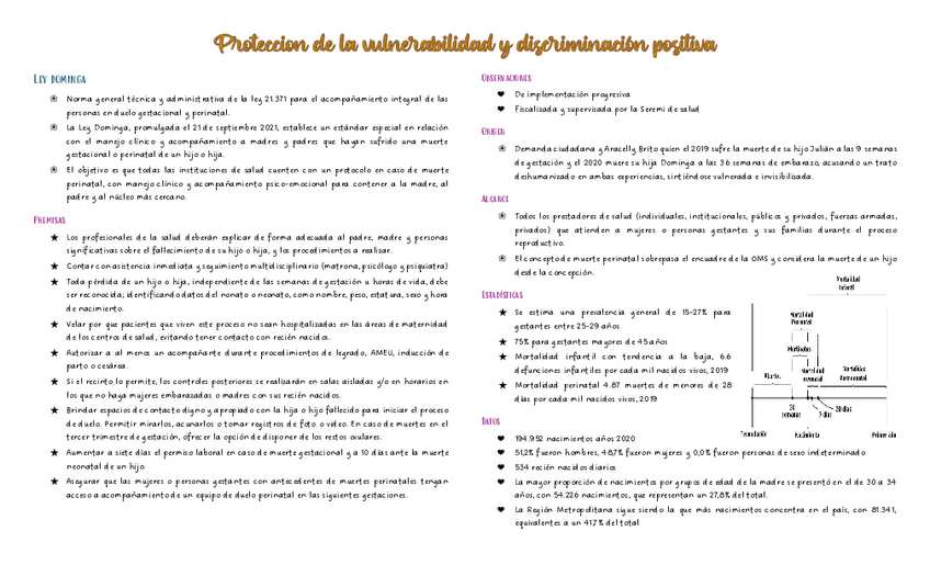 Miniatura del documento Proteccion-de-la-vulnerabilidad-y-discriminacion-positiva.pdf