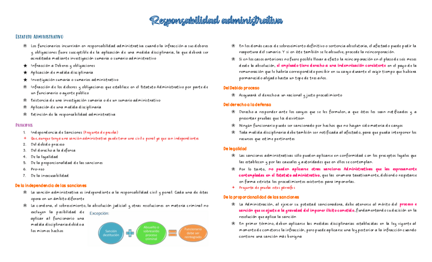 Miniatura del documento Responsabilidad-administrativa.pdf