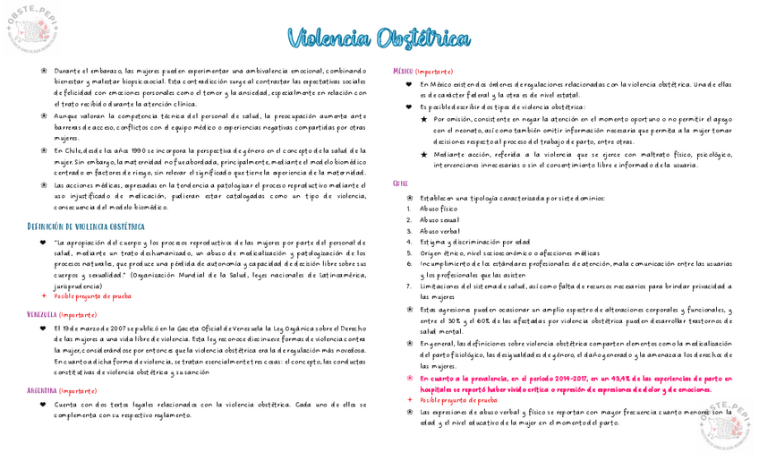 Miniatura del documento Violencia-Obstetrica.pdf