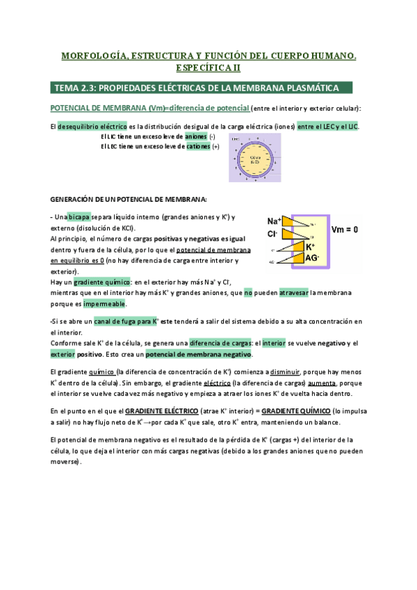 Miniatura del documento T2.3-PROPIEDADES-ELECTRICAS-MEMBRANA-ESPECIFICA-II.pdf