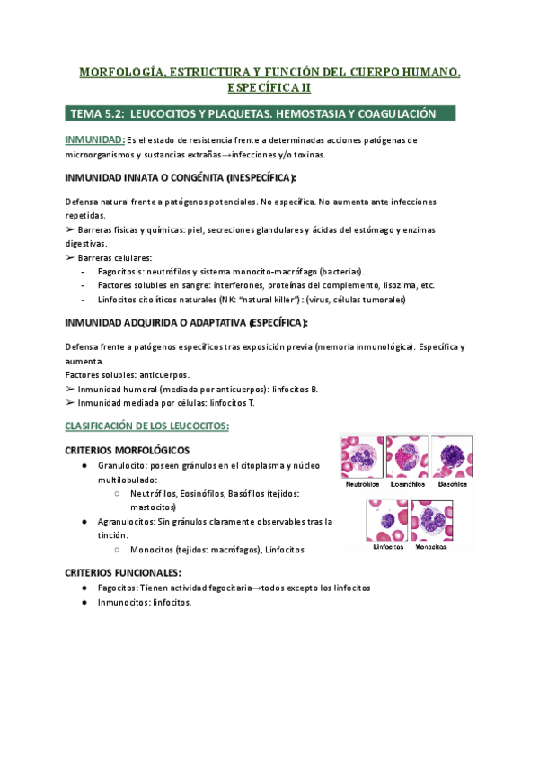 Miniatura del documento T5.2-HEMOSTASIA-Y-COAGULACION-ESPECIFICA-II.pdf