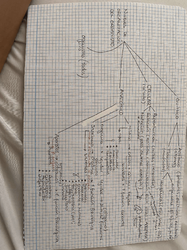 Miniatura del documento Temario-Fisiopatologia.pdf