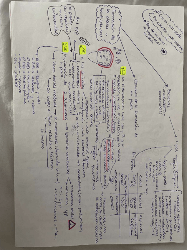 Miniatura del documento Temario-Estudio-de-la-cavidad-oral.pdf