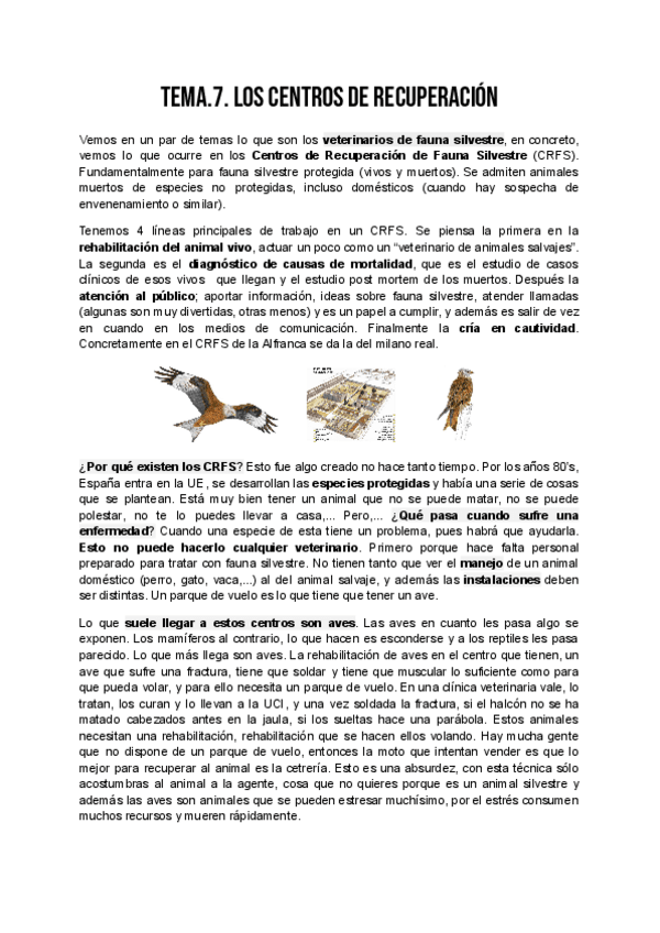 Miniatura del documento FS_TEMA_7.pdf