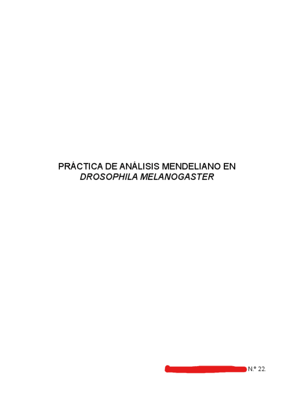 Miniatura del documento articulo-moscas.pdf