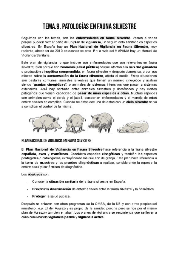 Miniatura del documento FS_TEMA_9_1.pdf