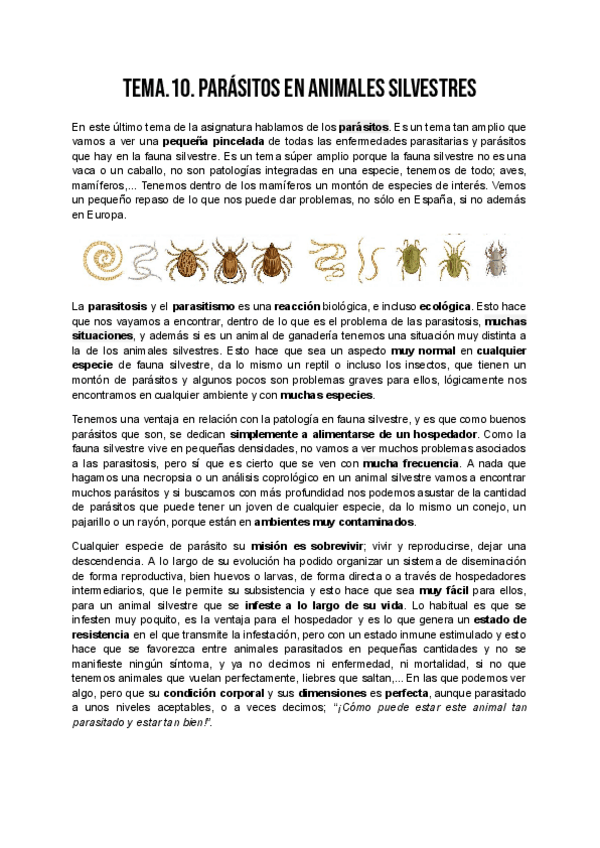 Miniatura del documento FS_TEMA_10.pdf
