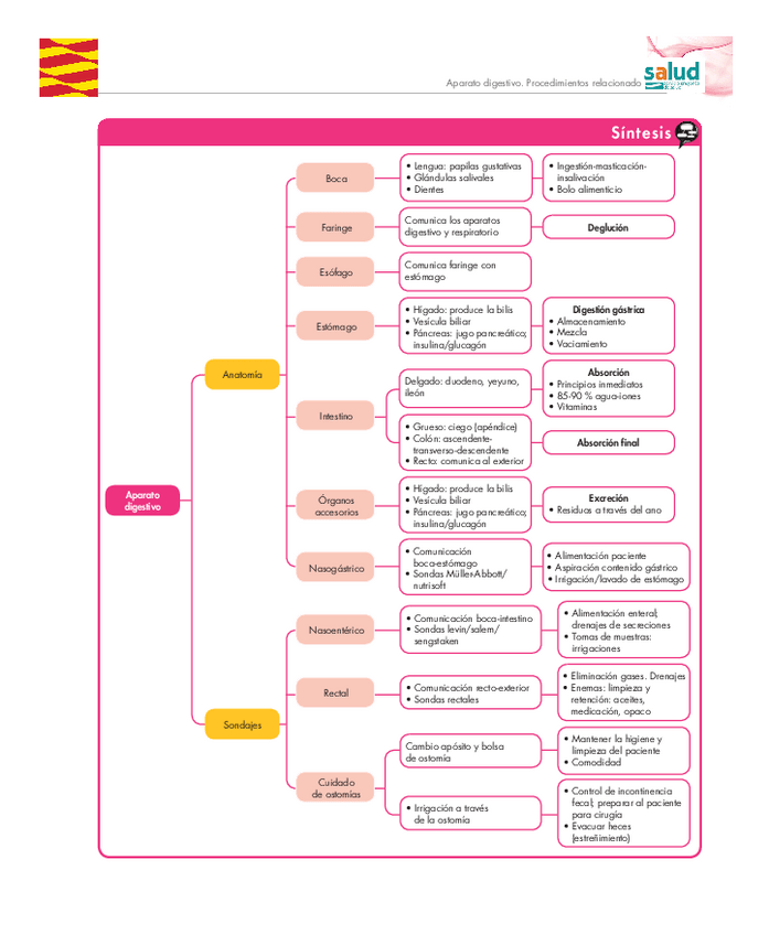 Miniatura del documento 01-Esquemas-Aparato-digestivo-Servicio-Aragones-Salud-Enfermeria.pdf