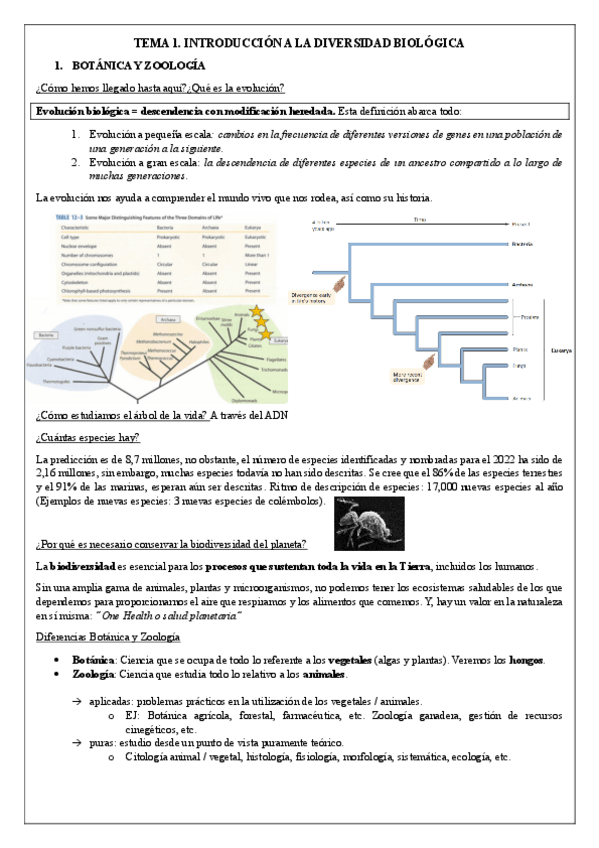 Miniatura del documento TEMA-1.-Introduccion.pdf