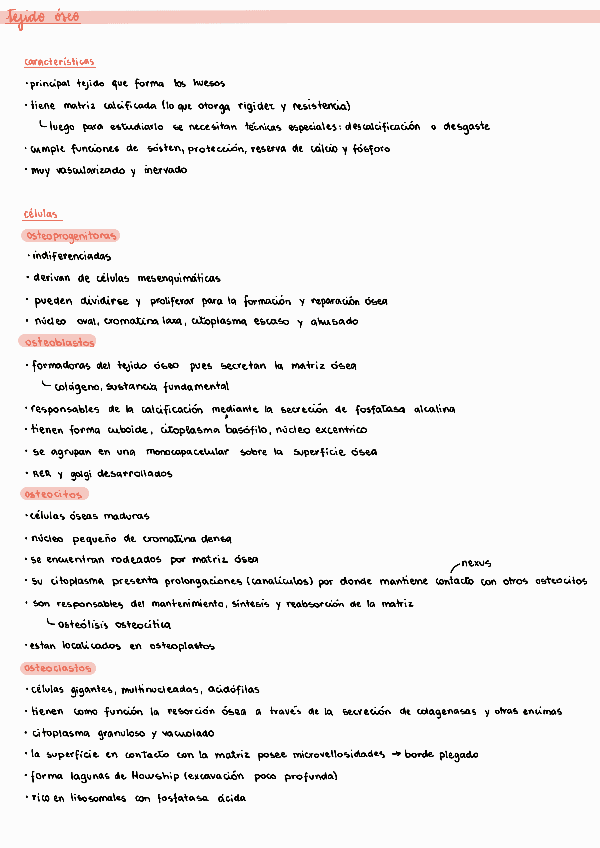 Miniatura del documento 7-Tejido-Oseo.pdf