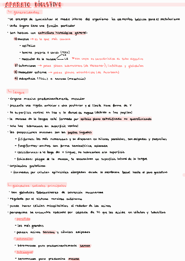 Miniatura del documento Sistema-Digestivo.pdf