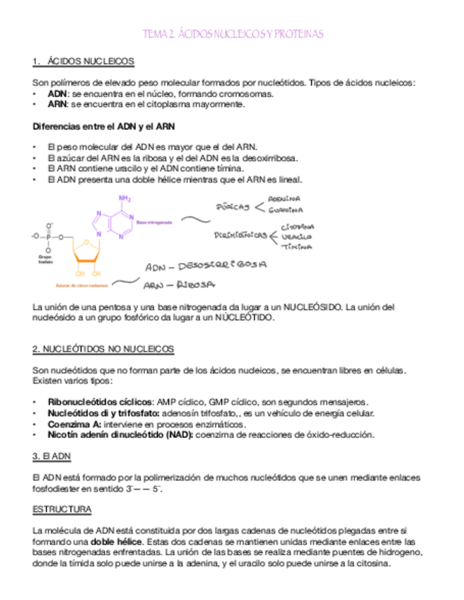 Miniatura del documento Tema-2.-Acidos-Nucleicos-Y-Proteinas.pdf