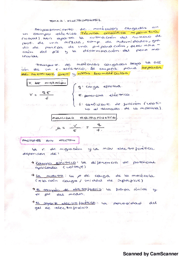 Miniatura del documento Electroforesis.pdf
