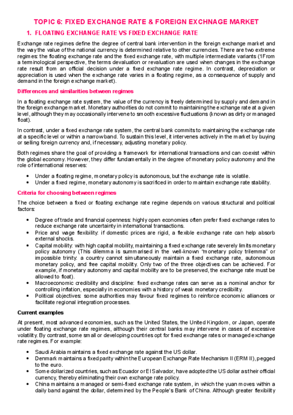 Miniatura del documento Topic-6-Macro-Internacional.pdf