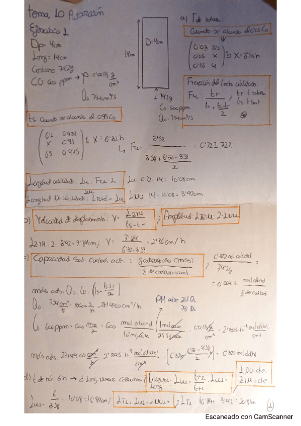 Miniatura del documento EJERCICIOS-TEMA-10-ADSORCION.pdf