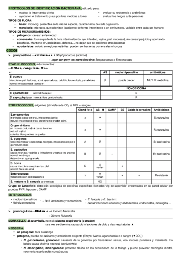 Miniatura del documento Tema-5-Identificacion-bacteriana.docx