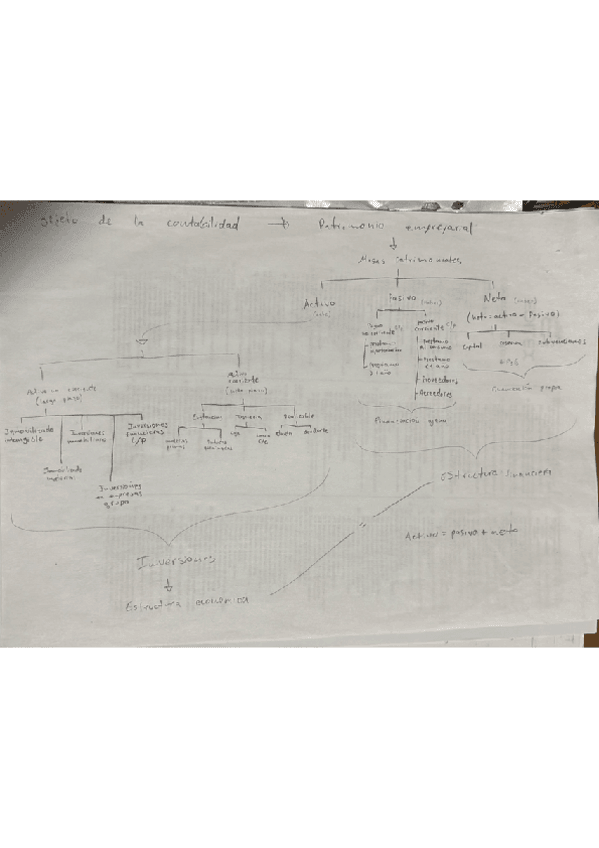 Miniatura del documento Esquema-masas-patrimoniales.pdf