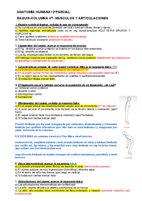 Miniatura del documento ANATO-2oPARCIAL-SUPER-IMP.pdf