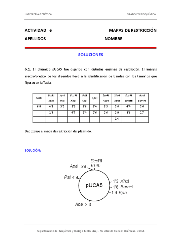 Miniatura del documento Actividad 6 solución.pdf