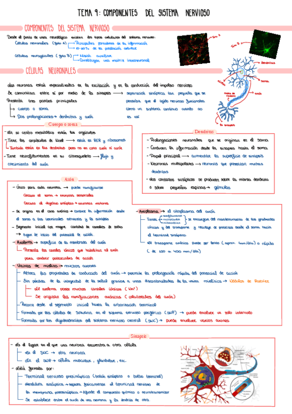 Miniatura del documento Tema-9.pdf