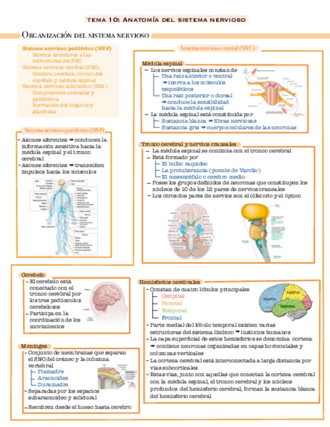 Miniatura del documento Tema-10.pdf