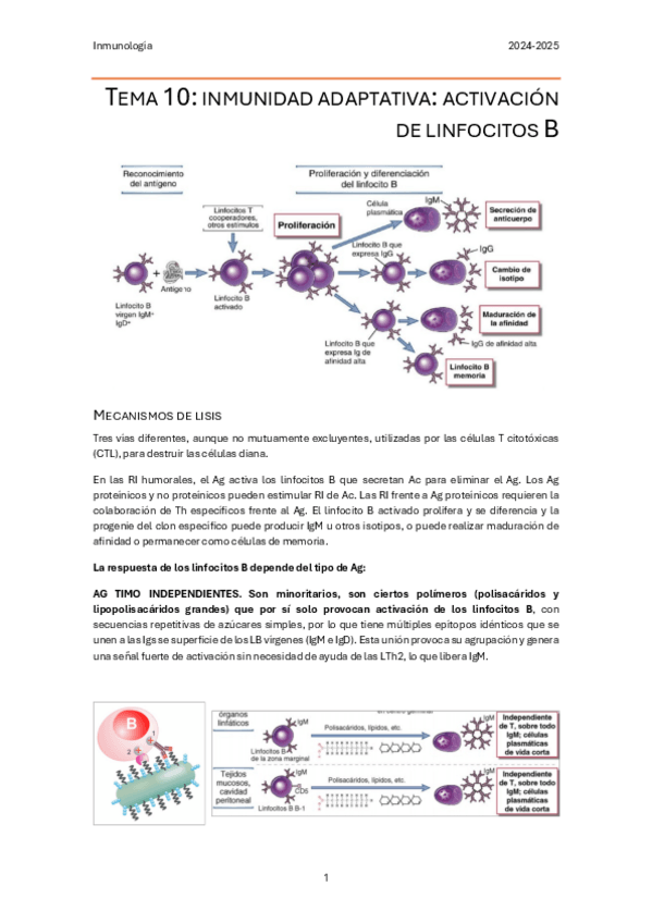 Miniatura del documento Inmuno-t10.pdf