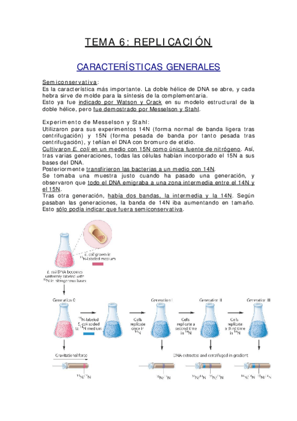 Miniatura del documento TEMA 6.pdf