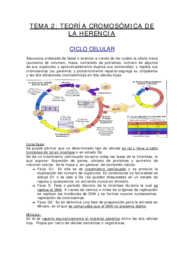 Miniatura del documento TEMA 2.pdf