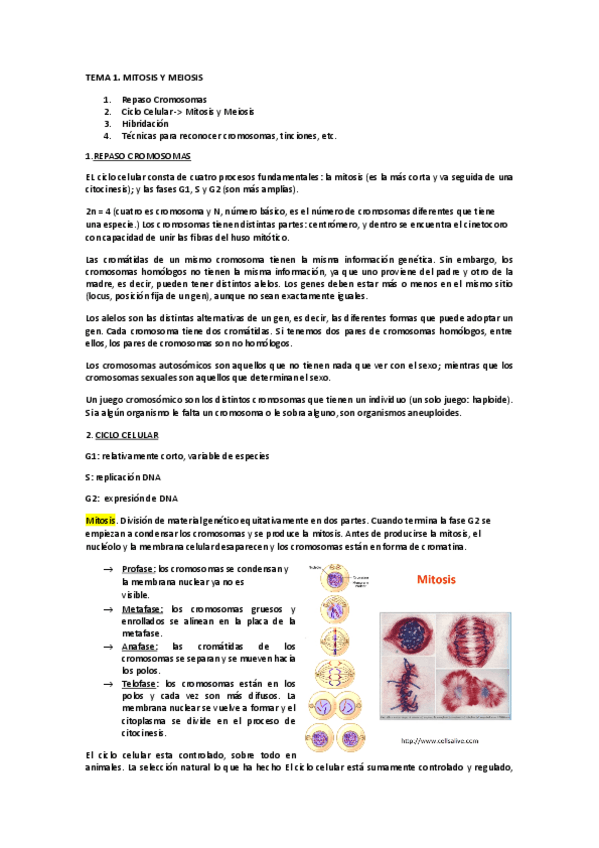 Miniatura del documento Genetica.pdf