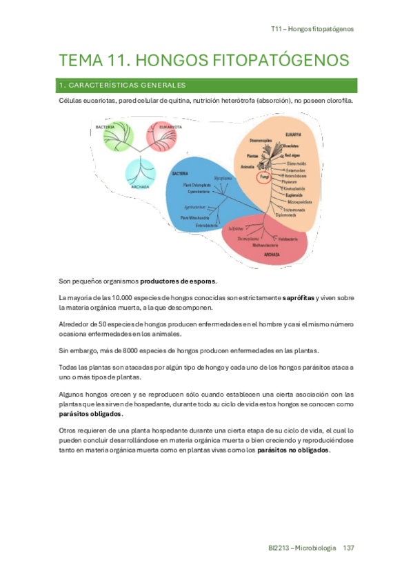 Miniatura del documento TEMA-11-Hongos-fitopatogenos.pdf