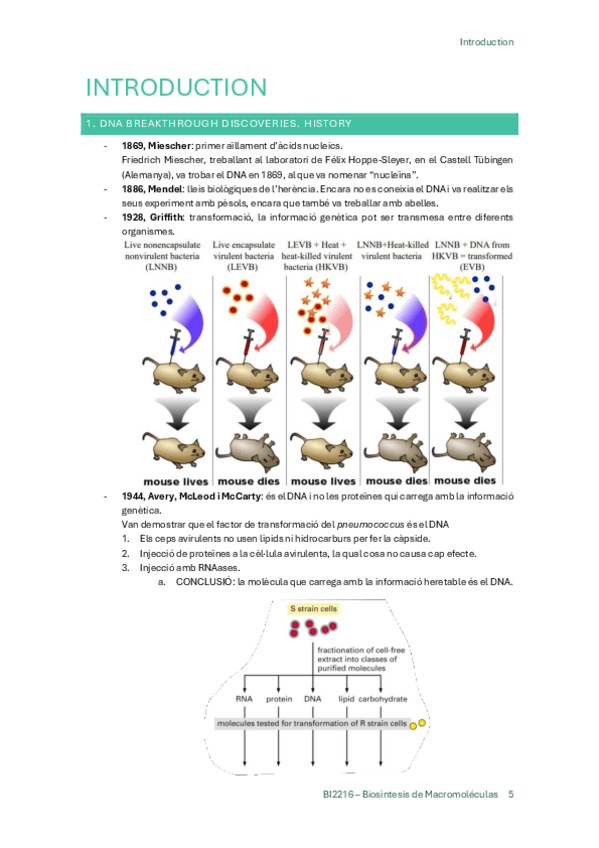 Miniatura del documento Introduction.pdf