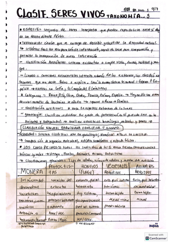 Miniatura del documento Taxonomiaresumen.pdf