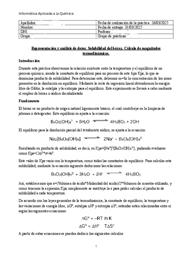 Miniatura del documento Informe-Borax.pdf