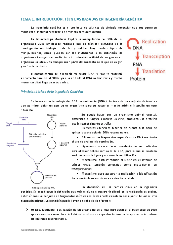 Miniatura del documento Ingeniería Genética Juntito.pdf