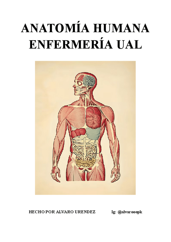 Miniatura del documento ANATOMIA-DEFINITIVO-1.pdf