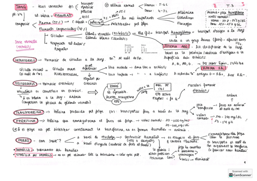 Miniatura del documento Tema-3-fisio-esquemaresum.pdf