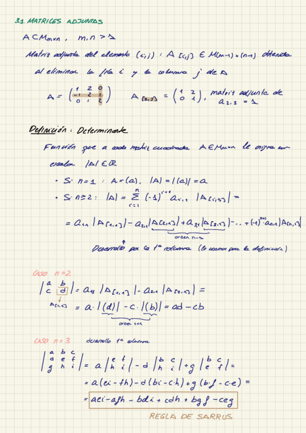 Miniatura del documento Tema-3.-Determinantes.pdf