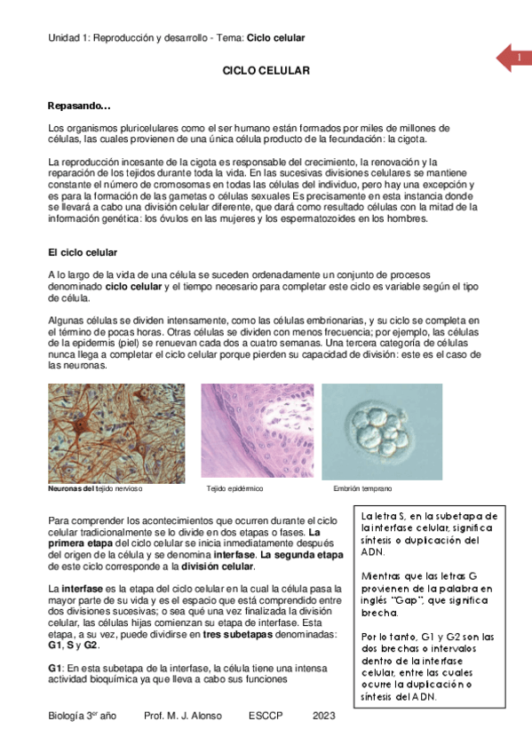 Miniatura del documento 04-Reproduccion-Ciclo-celular.pdf