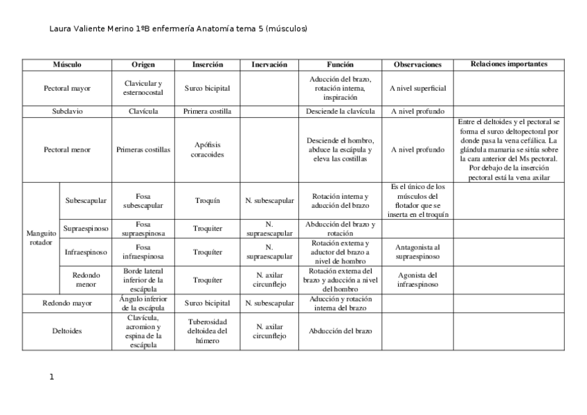 Miniatura del documento musculos.docx