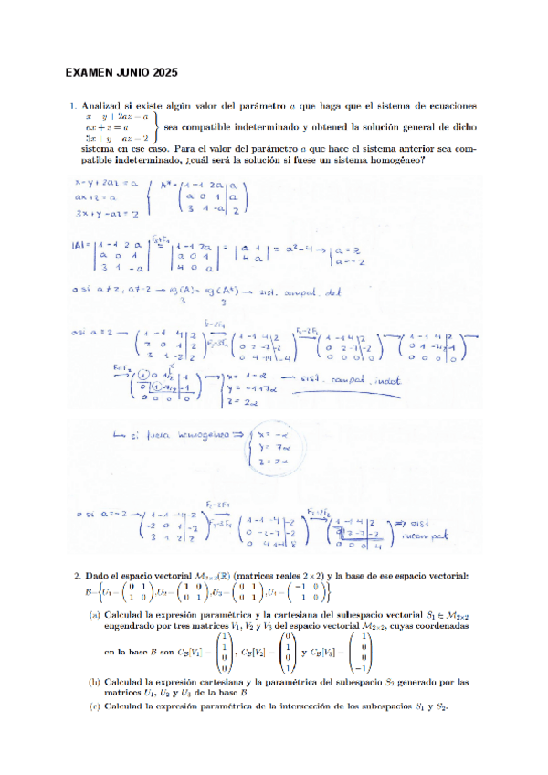 Miniatura del documento Examen-Junio-2025-Resuelto.pdf