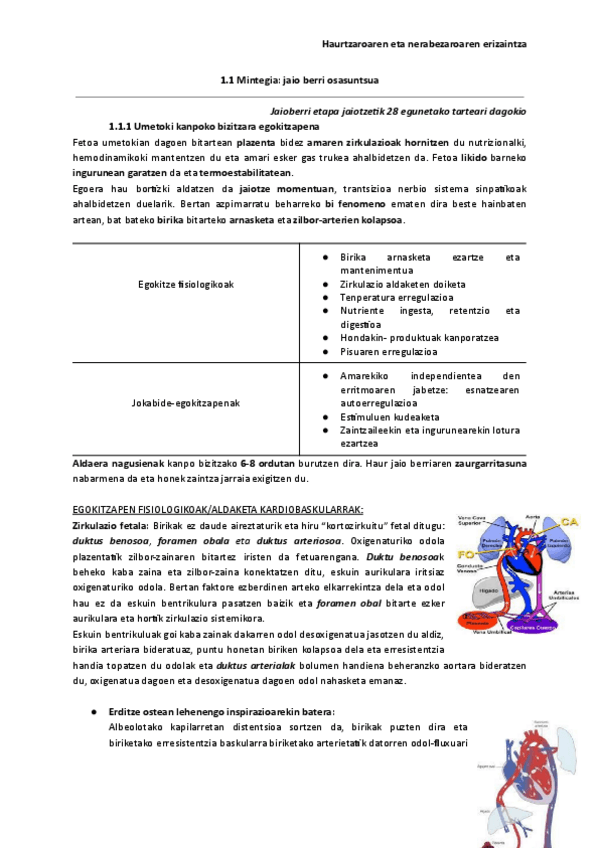 Miniatura del documento 1.1-Mintegia-jaio-berri-osasuntsua.pdf