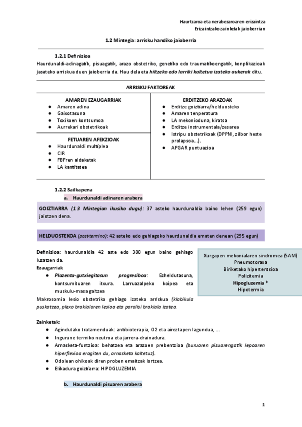 Miniatura del documento 1.2-Mintegia-arrisku-handiko-jaioberria.pdf