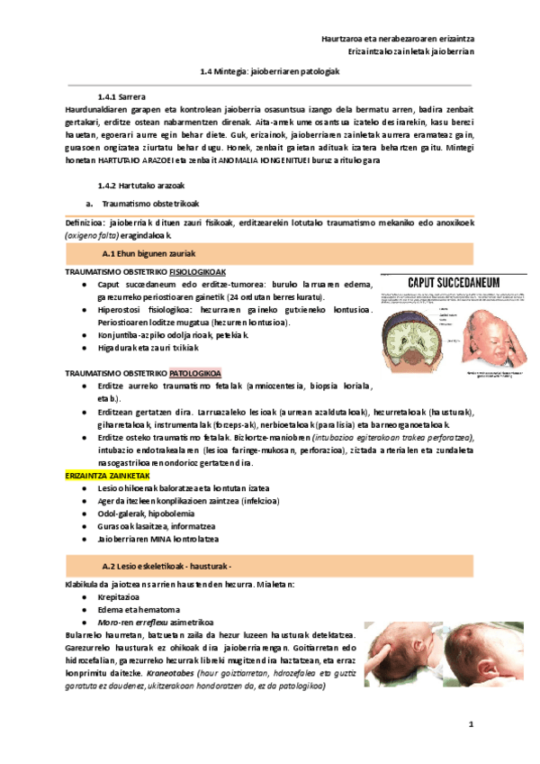 Miniatura del documento 1.4-Mintegia-jaioberriaren-patologiak.pdf